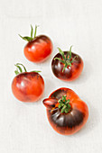 Vier Tomaten der Sorte Indigo Apple auf weissem Untergrund