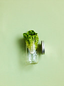A symbolic image of a take away salad