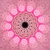 Virus in human body, fractal illustration
