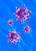 Coronavirus particles, illustration