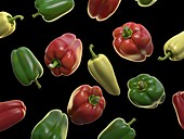 Bell peppers, illustration