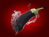Eggplant and water splash, illustration