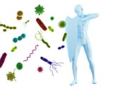 Immune system, conceptual illustration
