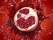 Pomegranate splash, illustration