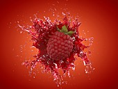 Raspberry splash, illustration