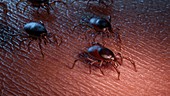 Group of ticks crawling on human skin, illustration