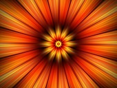 Flower, abstract illustration
