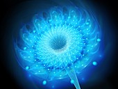 Fractal flower shape wormhole, abstract illustration