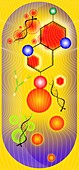 Nanomedicine, conceptual illustration