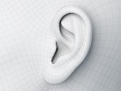 Wireframe ear, illustration
