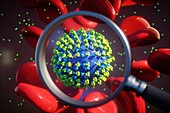 Coronavirus research, illustration