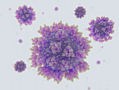 Covid-19 coronavirus particles, illustration