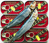 Sardines on sardine tins