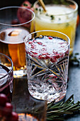 Verschiedene alkoholische Drinks mit Früchten und Kräutern