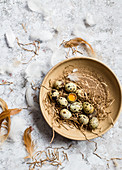 Quail eggs in a brown ceramic bowl, one egg is cracked open, and feathers are around the bowl