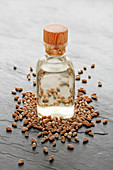 Wheat germ oil and wheat grains