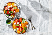 Italienischer Caprese-Salat mit roten und gelben Tomaten, Mozzarella und Basilikum