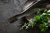 Raw fresh fish on plate with herbs