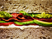 Ein Bacon-Sandwich mit Tomate, Avocado und Salat (Querschnitt, Nahaufnahme)