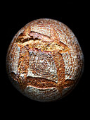Ein Artisan-Brotlaib vor schwarzem Hintergrund