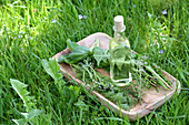 Mouthwash oil made from fresh garden herbs