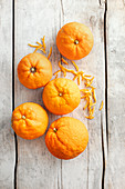 Bitter oranges with zests