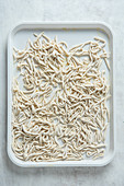 Handmade trofie pasta
