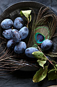 Fresh plums with peacock feathers on a black plate