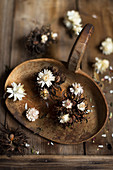 Strohblumen (Helichrysum) und Baumhasel-Fruchtstand (Corylus Colurna)