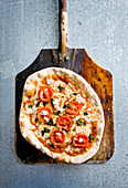 Basil and tomato pizza