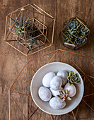 Easter eggs and cacti on wooden table