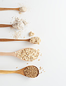 Oat grains, oat flakes, porridge and oatmeal on spoons