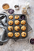 Blueberry oat muffins