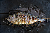A grilled bream