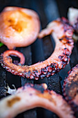 Grilled octopus and scallops