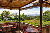 Bar der Lodge 'Rosa Blanca', Santa Bárbara, Heredia, Costa Rica, Zentralamerika, Amerika