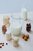Ingredients for preparing vegan milk on table