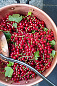 Fresh redcurrants with a draining spoon in a copper pot