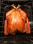 Turkey in roasting pan