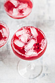 Pomegranate Fizz with tonic water, pomegranate juice and vodka