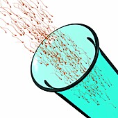 Sperm donation, conceptual illustration