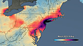 Average northeast USA nitrogen dioxide levels 2015-19