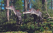 Pair of Irritator dinosaurs, illustration