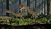 Pair of Dilophosaurus dinosaurs running, illustration