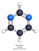 Molecular model of pyrimidine