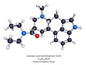 Molecular model of the hallucinogen LSD