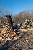 Making firewood, Michigan, USA