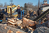 Making firewood, Michigan, USA