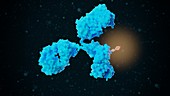 Tagged antibody, illustration