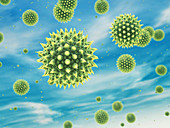 Pollen allergy, conceptual illustration